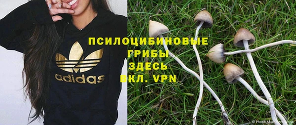 бошки Алзамай
