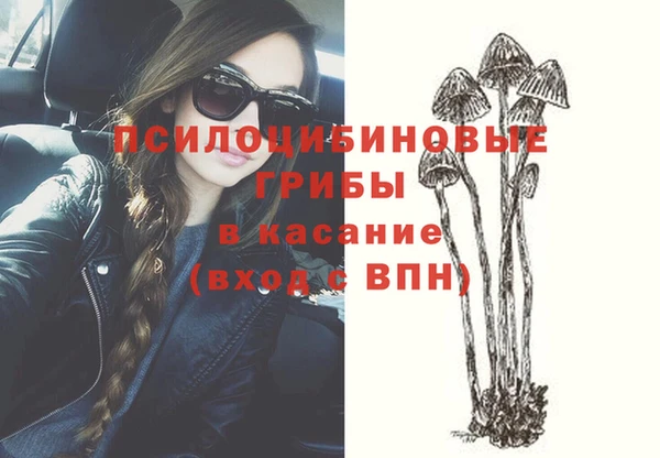 бошки Алзамай