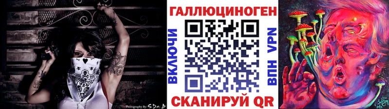 продажа наркотиков  Новомичуринск  Галлюциногенные грибы GOLDEN TEACHER 
